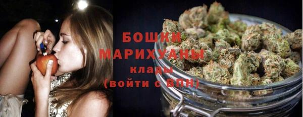 амф Арсеньев